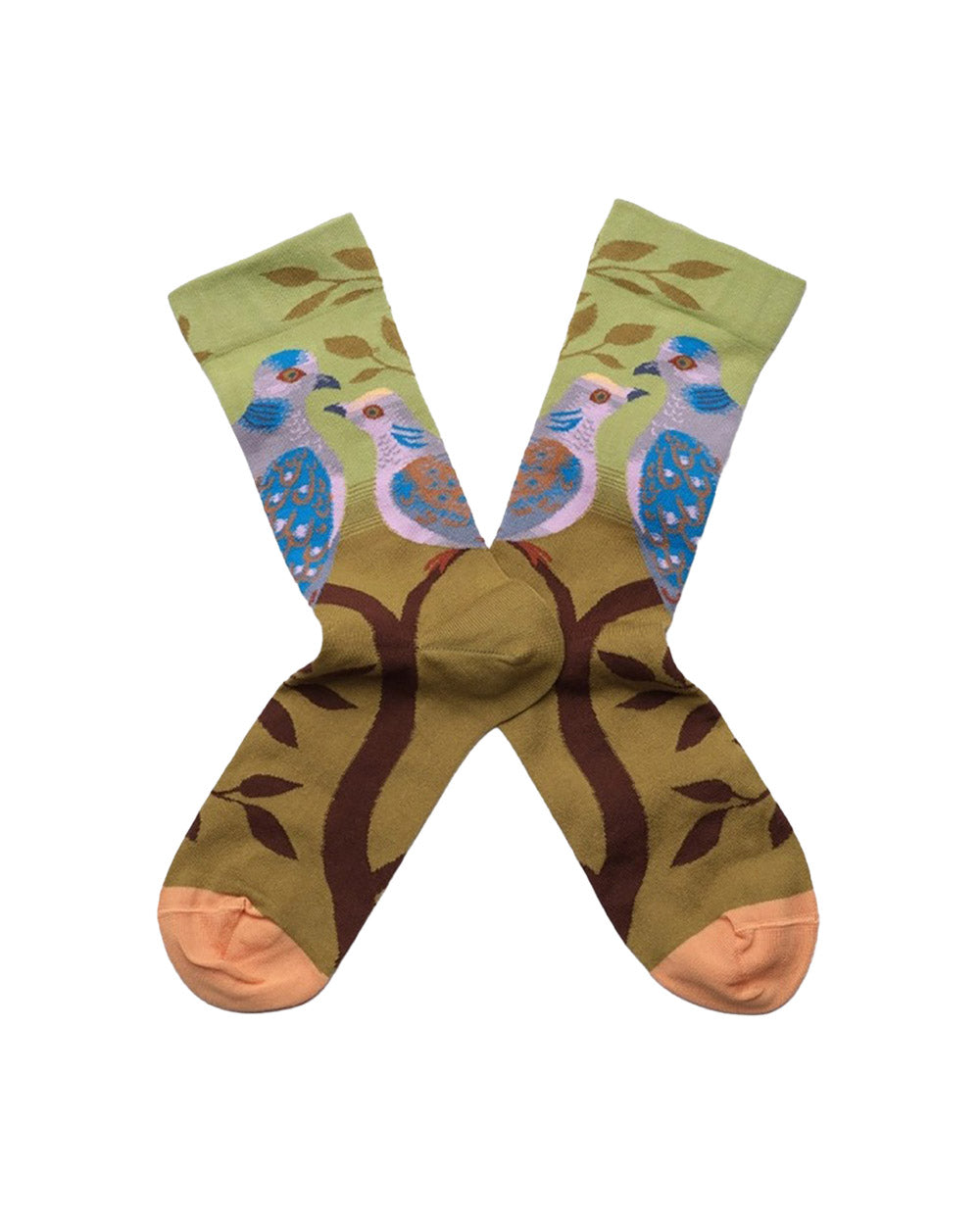 CALZA CORTA Tourterelle Absinthe