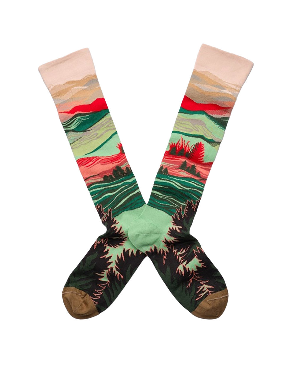 CALZA LUNGA Paysage Lichen